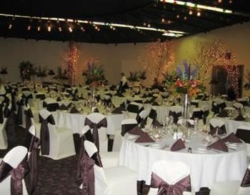 Alma Comfortable Inn מראה חיצוני תמונה